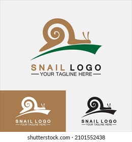 Snail Logo creative modern design inspiration vector