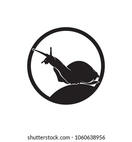 snail logo icon