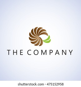 snail  logo  ideas design vector illustration on background