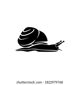 Snail Logo Template Design Vector