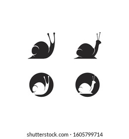 snail logo template vector icon illustration design
