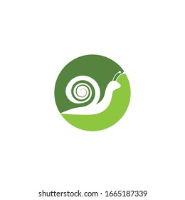 snail logo template vector icon illustration design