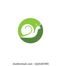 snail logo template vector icon illustration design