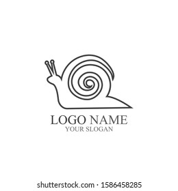 Snail logo vector illustration template