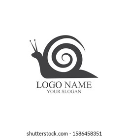 Snail logo vector illustration template