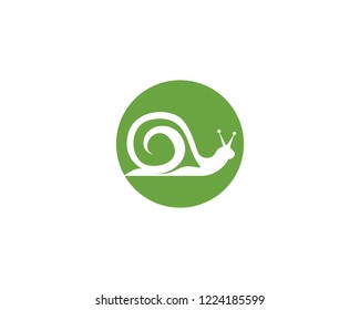 Snail Logo vector symbol