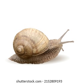 Snail low poly. Slow slug. Gastropod in triangulation technique. Vector illustration.