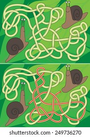 Snail maze for kids with a solution