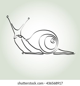 Snail in minimal line style vector