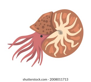 Snail Mollusc Underwater Sea Creature Cartoon Vector Illustration