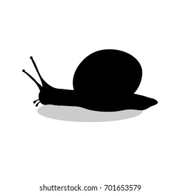 Snail mollusk shell black silhouette animal. Vector Illustrator.