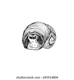 Snail monster in a huge shell. Graphic illustration.