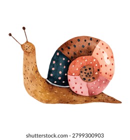 Snail with multicolored shell spots