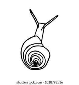 Snail on background vector illustration. Doodle style. Design, print, decor, textile, paper