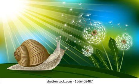 Snail on a blade of grass under the sun, Dandelion with flying fluff. Boke, Realistic horizontal vector illustration