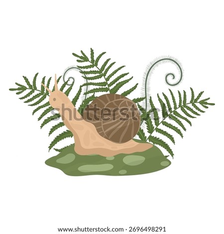 Snail on fern and moss vector illustration, Woodland composition