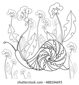 Snail on a field of dandelions. Black and white illustration. Free hand sketch for adult antistress coloring book page with doodle elements.
