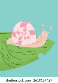 snail on the leaf illustration