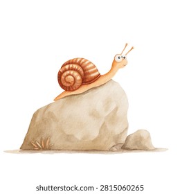 Snail on a rock shell big