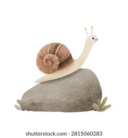 Snail on a rock smiling face