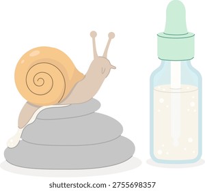 Snail on stones next to bottle with serum