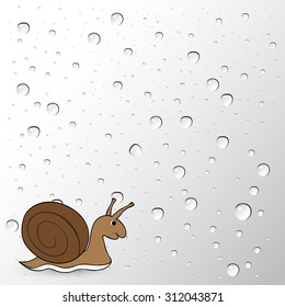 snail on water drops background