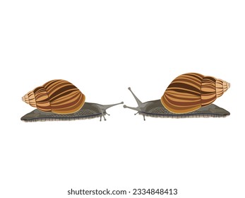 Schnecke auf weißem Hintergrund.