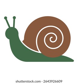 snail on a white background