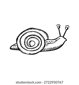 Caracol en un boceto de fondo blanco