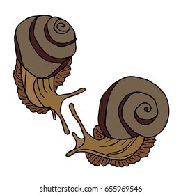 Snail on white background vector illustration. Doodle style. Design icon, print, logo, poster, symbol, decor, textile, paper, card. 