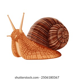 snail on white background.Vector eps 10