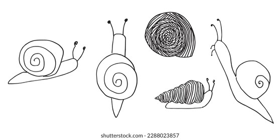 Snail outline illustration vector image. Hand drawn snail sketch image artwork. Simple original logo icon from pen drawing sketch.