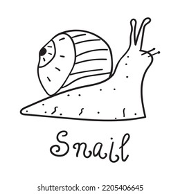 Snail. Outline Vector Illustration On White Background.