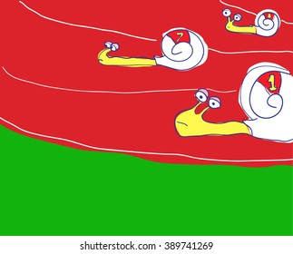 Snail race