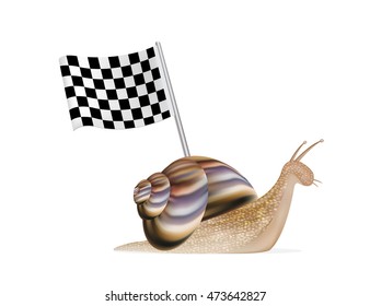 snail with racing flag