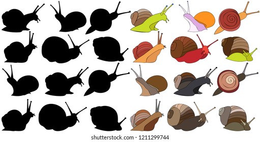  snail in realistic style