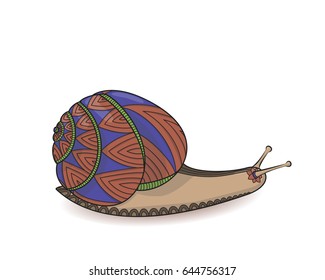 Snail red and blue colors vector illustration. Invertebrates mollusks wildlife. Wild life Zen tangle.