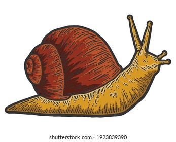 Snail red gastropods, isolated animal. Sketch scratch board imitation.