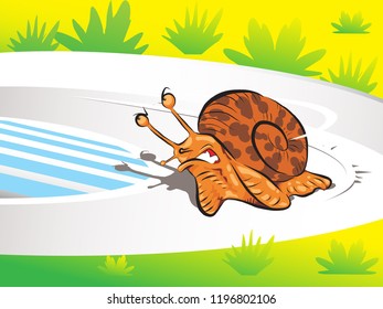 snail runing on racetrack