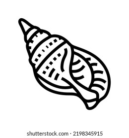snail sea shell beach line icon vector. snail sea shell beach sign. isolated contour symbol black illustration