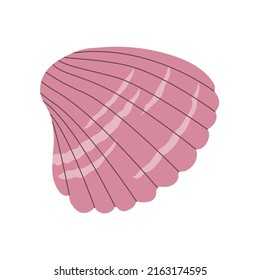 Snail sea shell. Marine underwater twisted seashell. Spiral shape. Undersea mollusc. Animal and wildlife. Flat vector illustration isolated on white background