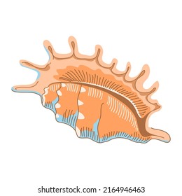 Snail sea shell. Marine underwater twisted seashell. Spiral shape. Undersea mollusc. Animal and wildlife. Flat vector illustration isolated on white background