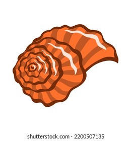 Snail sea shell. Marine underwater twisted seashell. Spiral shape. Undersea mollusc. Animal and wildlife. Cartoon vector illustration isolated on white background. Outline hand drawn style