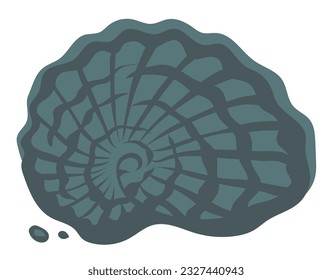Snail sea shell. Stone imprint of a sea animal. Archeology and paleontology. Ancient fossil. Spiral shape. Undersea mollusc. Vector illustration isolated on white background
