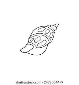 Snail sea shell vector illustration. Line art. Printable coloring page for kids and adults