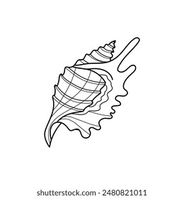 Snail sea shell vector illustration. Line art. Printable coloring page for kids and adults