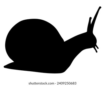 Snail, Seafood silhouette vector art