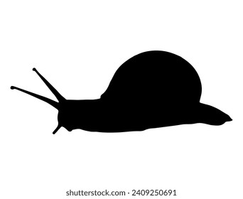 Snail, Seafood silhouette vector art