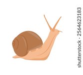Snail Seafood Vector Illustration, Isolated