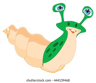 Snail in seashell
